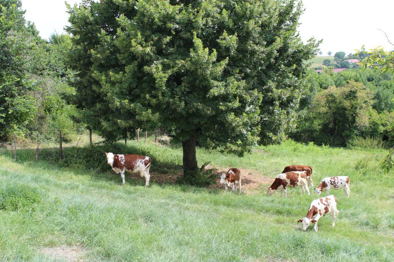 LES MONNATS GITE 8 personnes à la campagne Villa Chaptuzat Esterno foto