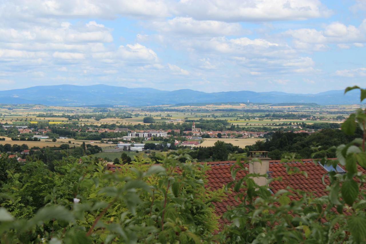 LES MONNATS GITE 8 personnes à la campagne Villa Chaptuzat Esterno foto